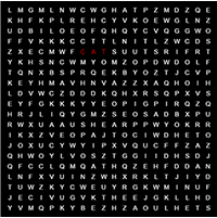 Word Search Game