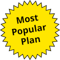 most popular spelling plan